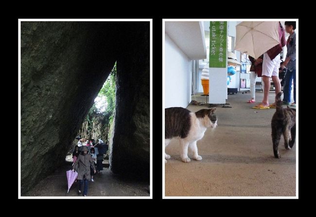 孤独の沖縄 原チャリ旅<br /><br />世界遺産には ネコがいて<br />有名天ぷら店にも ネコがいて