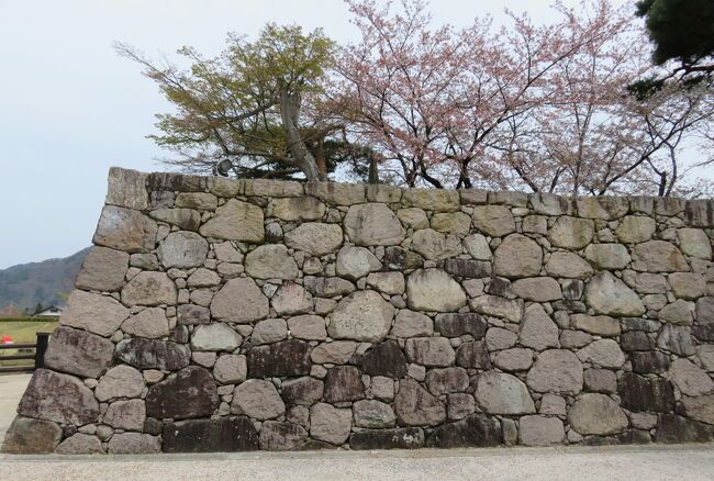 2016春、信州の桜と城(24/28)：4月16日(10)：松代城(2)：高石垣、松代城下町