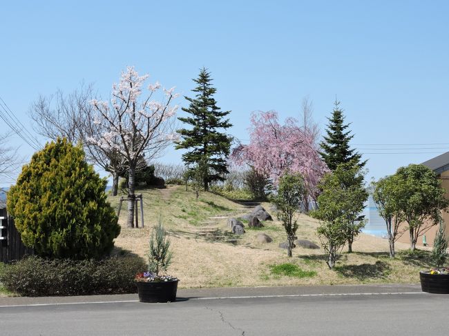 山形市の松が丘は工場が立ち並んでいますが、シベール（お菓子、ラスクが美味しい）の工場もあります。<br />その裏に公園があるという情報を旦那が持ってきたので、珍しく旦那の運転で行って見ました。<br />なんか思ったより綺麗でびっくりしました。<br />シベールも綺麗に整備されていて楽しめました。