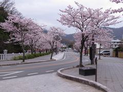 山梨の桜を求めて 武田神社 土塁を歩くのもおもしろい 山梨県の旅行記 ブログ By あんみつ姫さん フォートラベル