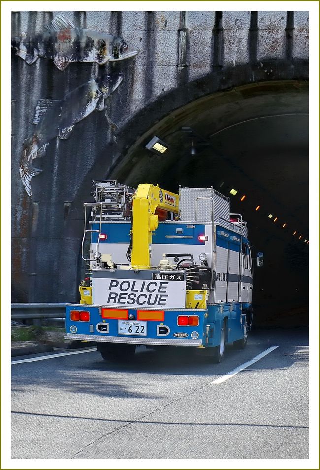 ■恒例の九州車旅①　初日の深夜にホテルで大地震に遭遇！　～白野江植物園編<br /><br />▽白野江植物公園／福岡県北九州市門司区白野江<br />　白野江植物公園は、北九州市門司区の周防灘を望む小高い丘に位置する緑豊かな自然に囲まれた北九州市では唯一の花木園です。桜広場、竹林、展望広場、花の谷、ボタン園、湿性園、花畑などがあります。<br />　また、樹齢400年の県指定天然記念物のサトザクラや、緑黄色の花を咲かせる御衣黄桜（ぎょいこうざくら）があります。山頂広場からのパノラマは最高です。<br /><br />【　手記　】<br />　旅行記のアップ時期が少々ずれて遅くなっております。リアルタイムにアップしていきたいのですが、未だ手付かずの旅行記が山積しております。ご容赦のほど願いま～す。<br />　退職後の手続きがひと段落したのでまたまた九州へ行って参りました。何度も何度も訪問しているところばかりで大して新鮮さもないのですが、自然の景色の中に浸ることが大好きなので大分宇佐～杵築～臼杵～九重～阿蘇～日田辺りをウロチョロして来る予定にしておりました。男ひとり自由気儘な車旅、いつものように宿予約はしていません。宿がなけりゃ車中泊になります。<br />　と言うことで、４／１５から九州大分方面へ旅行に出かけて行ったのですが、予想もしていなかった事態に遭遇しました・・１泊目の４／１６深夜１時半ころ大分のホテルで今回の熊本大地震に遭遇したのです。<br />　就寝中に大揺れがありビックリ！飛び起きてしまいました。次から次へと大きな揺れ（本震・余震、大分は震度６弱）が続き、ホテル内では女性の悲鳴や慌てたような会話が飛び交い「これは異常事態だ－」と感じました。すぐに着替えていつでも飛び出せるようにスタンバイ。携帯の地震警報も鳴りっぱなし、結局朝まで一睡もできませんでした。<br />　１４日は前震でこれが本震だったことはあとで知りました。朝まで余震が大小合わせて１０回以上はあったと思います。<br />　翌早朝、大分・熊本県内では繰り返し余震が続き高速道路も通行止め、思うように行動できそうもない状況だったので本州へ向けて帰路につきました。<br />　次の日から阿蘇方面をぐるぐると回るつもりでしたから１日ずれていたら大変なことになっていたかもしれません。九州旅行はしばらくお預けですねー。九州大好き人間にとっては残念なことです。<br />　それにしても今まで経験したこともないようなとんでもなく激しい揺れでした。ビルが倒れるんじゃないかと思いました。<br />　３カ月たった今でもまだまだ復旧作業が続けられておりますが、何はともあれみなさんが一刻も早く元の生活に戻れるよう祈るばかりです。被災された方々およびご親族・関係者の皆々様に心よりお見舞い申し上げます。<br />　後日、銀行へ行って些少ではありますが寄付をさせていただきました。<br /><br />※熊本地震<br />　2016年4月14日夜21時26分、熊本県熊本地方を震央とする、震源の深さ11km、気象庁マグニチュード6.5の地震（前震）が発生し、熊本県益城町で震度7を観測した。<br />　その28時間後の4月16日深夜1時25分には、同じく熊本県熊本地方を震央とする、震源の深さ12km、気象庁マグニチュード7.3の地震（本震）が発生し、熊本県西原村と益城町で震度7を観測した。<br />　気象庁は同日、後者（16日未明）の地震が本震で、前者（14日）の地震は前震であったと考えられるとする見解を発表している。<br /><br />◇九州大分～山口～津和野車旅、写真枚数が多くなりましたので①～⑤編に分けてアップしていく予定です。<br />　第①編　４／１５～白野江植物公園　（今回の旅行記）<br />　第②編　４／１５～宇佐神宮参拝<br />　第③編　４／１６～青の洞門・九州脱出<br />　第④編　４／１６～山口県ＳＬやまぐち号<br />　第⑤編　４／１６～津和野の町並み散策<br />