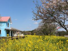 千葉・吉高の大桜といすみ鉄道周辺の桜をめぐる旅