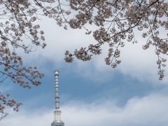 隅田川散歩　～桜とスカイツリーを撮り歩く～