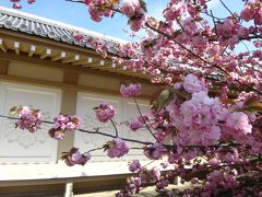 見所たくさん醍醐寺(西国三十三所第11番札所)霊宝館京都日帰りその2/2