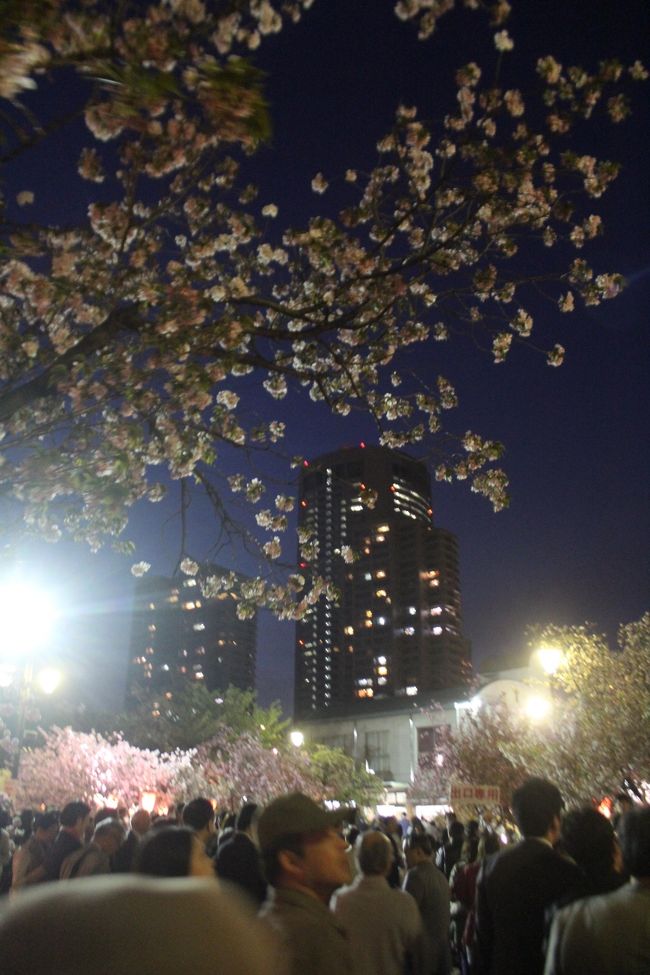 　毎年行こうと思いながら行く機会がなかった造幣局桜の通り抜けに行ってきました。<br />　今年の通り抜け開催日は平成28年4月8日（金曜日）から4月14日（木曜日）までの7日間 で、終ってしましましたが4月12日は７，8分咲きでつぼみの桜も多々ありました。<br />　桜の種類はたくさんあることは認識していましたがこれほどあるとは思いませんでした。<br />　夜のライトアップも見たくなり、天満橋駅で夕食をとり、ライトアップも見てきました。<br /><br />　今年の桜は133種349本です。すべての種類は写せませんでした。<br />　今年の花は「牡丹（ぼたん）」です。 <br />　因みに当日4月12日（火曜日）の入場者数は 106,860人 で1週間の入場者数は702,270人でした。