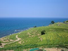 白米の千枚田(しろよねのせんまいだ)