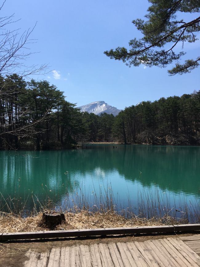 2日目 猪苗代湖からゴールドラインで磐梯山の五色沼自然探勝路へ 1時間ほど散策<br />その後 会津若松へ 鶴ケ城 飯盛山など観光<br />最後は仙台の極楽湯でお風呂<br />仙台空港からピーチで関西空港へもどってきました。