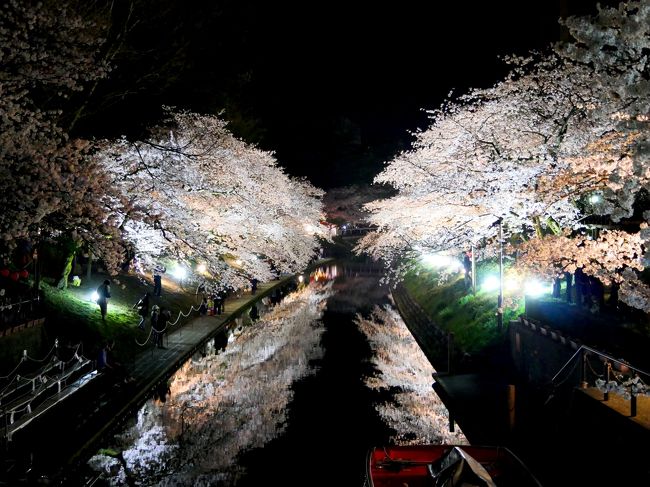 【国内212】2016.4富山に白えびを食べに行く1-白えび亭，松川公園の素晴らしい桜