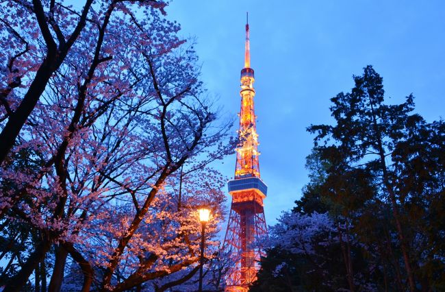 東京タワーの特等席の元、母と２人、夢の様な春の休日を<br />過ごすことが出来ました<br /><br />クラブフロアでの滞在は、大好きなホテルステイと<br />親孝行を兼ねた一石二兆の休日<br />有意義かつ、自由時間を１２０％満喫出来た２日間でした<br /><br />初めてのプリンスのラウンジデビュ〜は、最初こそ緊張していましたが<br />外資系の良さとは一線を画すPRINCEホテル流のおもてなしに満足でした<br />日本人の特有のきめ細やかなサービスが様々な部分に感じられ<br />とても素晴らしいと思いました<br /><br />１年中、充実したステイを楽しめるとは思いましたが<br />桜の季節にラウンジやバルコニーから<br />お花見が出来る頃が一番のお薦めだと思います<br /><br /><br />満開の桜には早すぎましたが、京都から戻った折、もう一度<br />ホテルと桜の景色を撮りに戻りました<br />都内のロケーションとしては、３本の指に入る、素晴らしい景観でした☆<br /><br /><br />お時間のある方は、<br />【ザ・プリンスパークタワー東京】の動画を２本<br />製作しましたので、お付き合い頂けると嬉しいです<br /><br />個人的にお薦めはカクテルタイム編です☆<br /><br /><br />▲　ア・ホール・ニュー・ワールド アラジン / 羽田健太郎　昼下がり編<br />　　https://youtu.be/yasnGnJXVc4<br /><br /><br /><br />▲　いつか王子様が [白雪姫] JIM BRICKMAN / カクテルタイム編  <br /><br />　　https://youtu.be/GMGD0dNyG1o