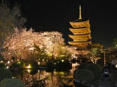 ２０１６年桜の京都