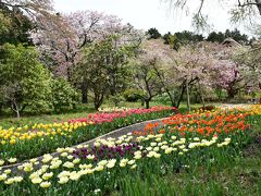 秩父宮記念公園の花めぐり 2016（御殿場）