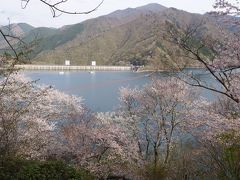 雲取山と春の奥多摩湖桜