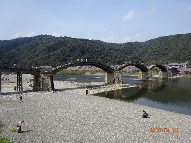 4トラトラベラーの方の旅行記を拝見して桜の似合う錦帯橋にこの時期行ってみたいと思い、桜前線を注視しつつ日程を検討。当日は天気も良く素晴らしい眺めを堪能。岩国城からの眺めも最高でした。関西生まれでお好み焼き好きには外せない本場の広島焼も堪能。広島焼は行く店がことごとくランチ終了の中、ようやく3か所目で食事にありついたという苦労もありましたが景色、食事ともに満足のいくShort Trip第4弾となりました。