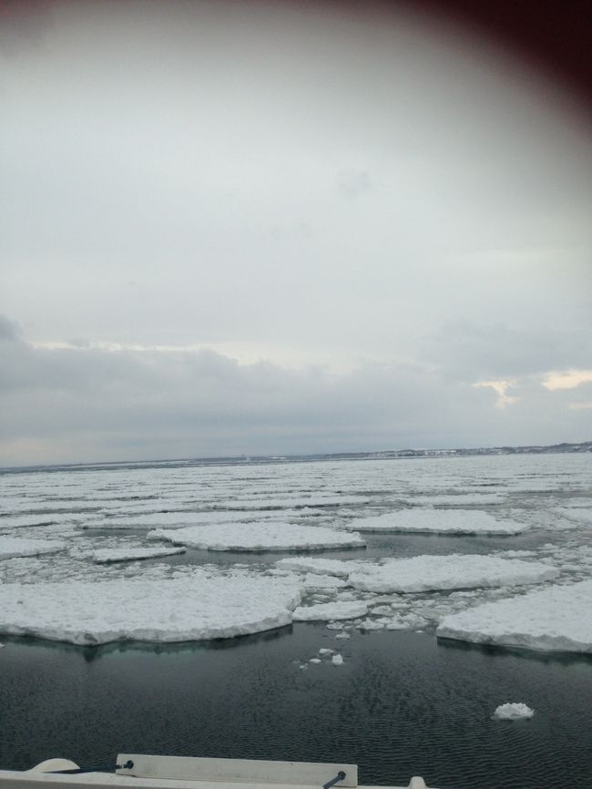 一度でいいから北海道の流氷が見たい!と思い冬の北海道へ行くことにしました。<br />自然ってすごいなと改めて感じました。<br />仕事終わってすぐ伊丹空港‐羽田空港【前泊】‐女満別空港‐網走‐特急で札幌へ<br /><br />(2016年4月に投稿しました。)