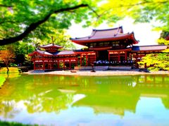 京都・奈良仏像ひとり旅～一日目京都編～