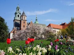 団塊夫婦の東欧ドライブ旅行・2016ポーランド&スロバキアー(８)新緑の美しい古都クラクフを歩く