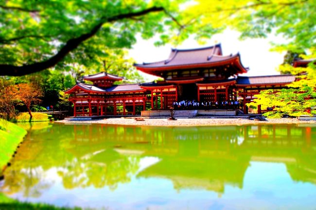 仕事でストレスが溜まりに溜まり疲れきっていた所………「奈良に行きなさい」………と言うお告げが聞こえ(たようた気がした)た為、中学の修学旅行以来、実に十数年ぶりに奈良へ!<br />折角なので京都にも立ち寄ってきました。
