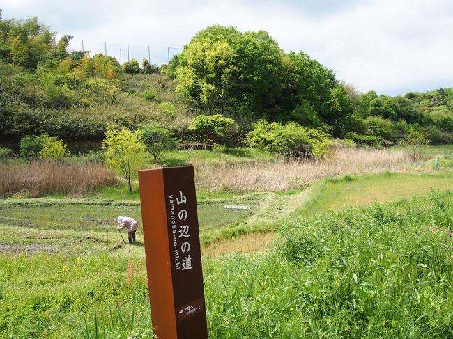 春過ぎて、夏来たるらし・・・新緑の奈良の古道を歩く旅。～２日目・山の辺の道（前篇）　北コース～