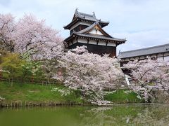 奈良桜めぐり2016 大和郡山お城まつり