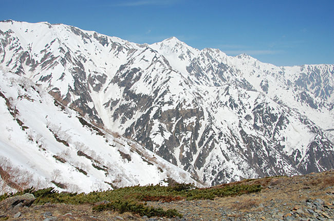 春になり花を見に行く山が多くなってきましたが、今回は残雪の高山に行ってきました。残雪があり日帰りでピークが踏めるとなると、この時期は結構場所が限られます。そんな中で選んだのはゴンドラとリフトを乗り継ぐことで高度を一気に稼ぎ、日帰りが可能な北アの唐松岳にしました。<br /><br />展望があまりに素晴らしすぎるのと体調が芳しくないメンバーがいたことで、かなりゆっくりなペース（テント泊重装備の人よりゆっくり）で歩いきましたが、その分素晴らしい景色を十分に堪能できました。残念ながら2人は頂上小屋までで、全員ではピークを踏めなかったが、満足行くルートです。<br /><br />コースタイム：7時間10分（休憩1時間10分）<br />八方池山荘8:52〜石神井ケルン〜八方池〜11:40丸山〜12:45唐松岳頂上山荘〜13:05唐松岳13:20〜唐松岳頂上山荘〜丸山〜八方山〜石神井ケルン〜16:03八方池山荘