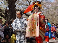 角館から花巻温泉経由、北上展勝地のさくら巡り旅（二日目・完）～見晴らしの良い土手に続く桜のトンネルは確かに天下一品。鬼剣舞とおいらん道中も花を添えて、これ以上ない豪華なお花見となりました～