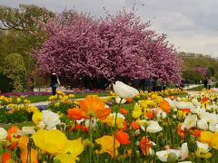 パリのお散歩 vol.47　やっと桜が咲いたけど極寒のパリ、桜の名所ソー公園は中止してパリ植物園へ！