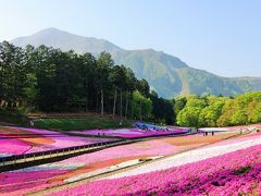 秩父日帰り旅・羊山公園の芝桜は見事でした~