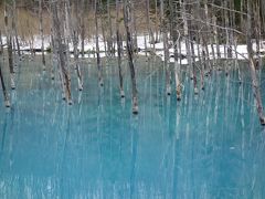 ライダーなのにレンタカーで北海道の春を走ってみた　結局寄ってしまったよ青い池