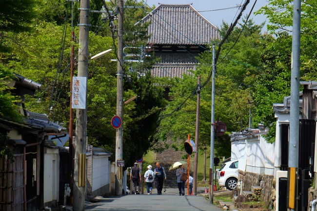 たっぷりと依水園を巡りで景色を楽しみ<br /><br />　次は昨年は雨で庭を歩く事の出来なかった入江泰吉旧居<br /><br />　　　さらに記憶に薄い　吉城園へと向かいます。<br /><br />入江泰吉旧居<br />http://kyukyo.irietaikichi.jp/<br /><br />奈良県公式ＨＰ　吉城園<br />http://www.pref.nara.jp/39910.htm