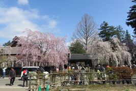 2016春、奥羽の桜(10/38)：4月23日(1)：仙北市(1)：盛岡から角館へ、角館武家屋敷跡