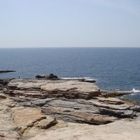 自然と動物に触れた南紀白浜旅行　１日目