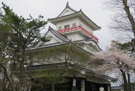 2016春、奥羽の桜(18/38)：4月23日(9)：秋田市(2)：久保田城、本丸、御隅櫓、染井吉野