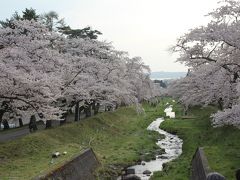 福島の桜名所めぐり（初日は鶴ヶ城）……今年の桜前線の北上は例年より半月早い！