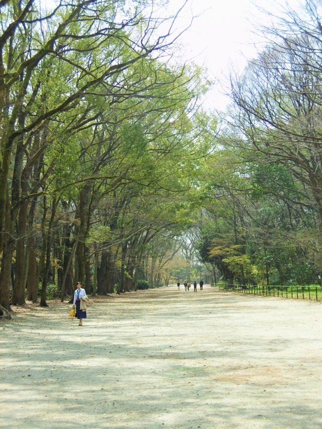 奈良旅は昨日（２８日）で終了。<br />本日（２９日）は、京都駅１５：２９分発東京行きの新幹線で帰る予定。<br />そこで京都の寺社を回って帰ることにした。<br /><br />まだ訪れたことのない「下鴨神社（賀茂御祖神社）」、特に「糺ノ森」に行ってみることに。<br />地下鉄烏丸線「鞍馬口駅」で下車、町中散策をしていたら「御霊神社（上御霊神社）」の傍を通った。<br />まずは、人の少ないこの神社にお詣り。<br />運命に翻弄され、怨みを呑んで亡くなった早良親王などが祀られていて、そういうマイナーさが好きな私にとっては絶好のスポットである。<br /><br />テレビでは見ていても、なかなか歩く機会のなかった鴨川。<br />そのほとりの風景も素晴らしかった！<br /><br />この三日間で５１，９７７歩も歩き、久しぶりの自転車乗りで肩に力が入り疲れたけれど、楽しい関西の旅だった。<br />