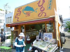 伊豆・伊東旅行 2010/05/21-05/22　　