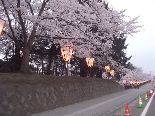 弘前市内で、お花見をしました。