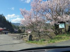 桜を見に行こう(開田高原)