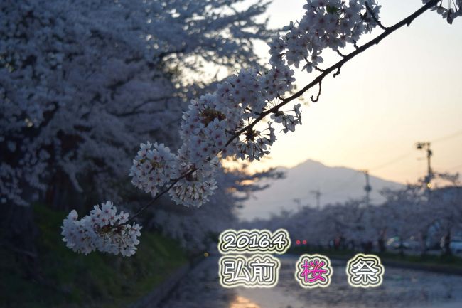 4/23と4/25に弘前城の桜を見に行ってきました。<br />その際の写真記録です。<br />今年もGWよりも前に満開になりました。もっと天気がよければよかったのですが…
