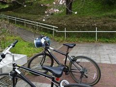 武蔵丘陵森林公園サイクリングロードを走り春の風を浴びる、熊谷桜堤で桜と菜の花の共演を愛でる/埼玉・比企、熊谷