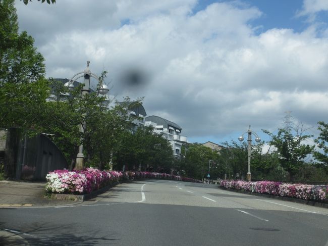 宝塚東トンネルから名神高速道路に掛けて２０キロの渋滞<br /><br />GWや盆暮れの恒例の渋滞<br /><br />オマケに国道１７６号線の神戸市北区区間にて<br /><br />新名神高速道路建設現場での橋げた落下事故<br /><br />大混雑必至の条件が揃って、どうしたものかと思ってたら<br /><br />１３時ころから、あれよあれよという間に渋滞が解消されて行く〜<br /><br />ヨシッ！、今がチャンス！、と出発して正解！<br /><br />いつもより早く西宮名塩の家に到着して、雑用を済ませてトンボ帰り<br /><br />１３時に大阪の家を出発して１６時には大阪に着いてた<br /><br />帰省の渋滞も毎度こんなんだったら怖くないぜ！<br /><br /><br />