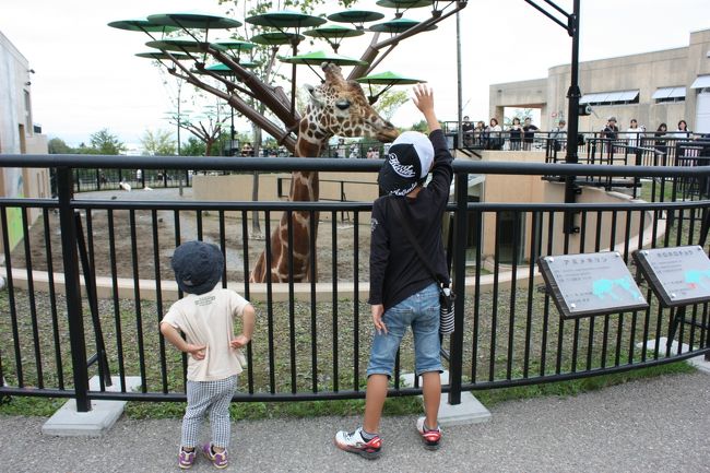 旭川動物園が本命で、ちょこちょこまわっとります！