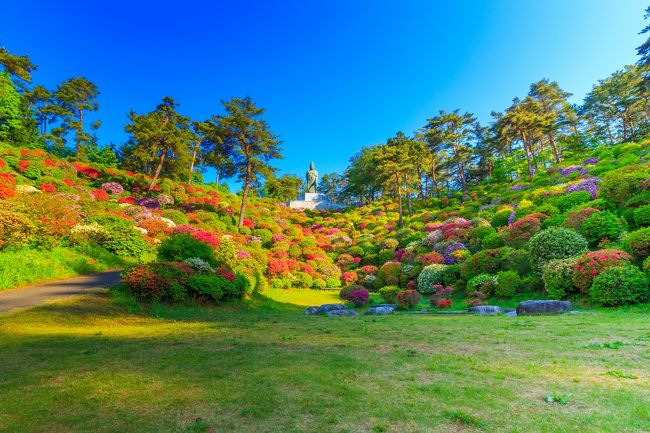 今年も躑躅の季節がやってきた。<br />去年は塩船観音で上手に写真が撮れなかったので、今年はそのリベンジ！<br />ついでに昨年から気になっていた薬師寺にも行ってきました。<br /><br />