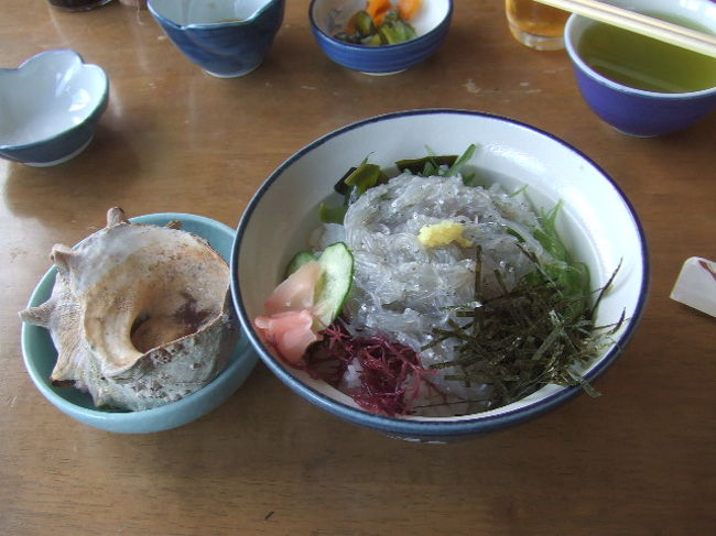 江ノ島散策編<br /><br />※2018/5/03 いただいた写真を追加<br /><br />・散策コース:お友達サイト:「サークルつくし」で江ノ島散策しました<br /><br />江ノ島駅→ 弁天橋屋→ 江ノ島大橋→ 江ノ島神社→ 中津宮→ 片野写真館→<br />※この辺は猫がいっぱい →魚見亭で生しらす丼を注文(昼食) → サムエル・コッキング苑→ 展望灯台