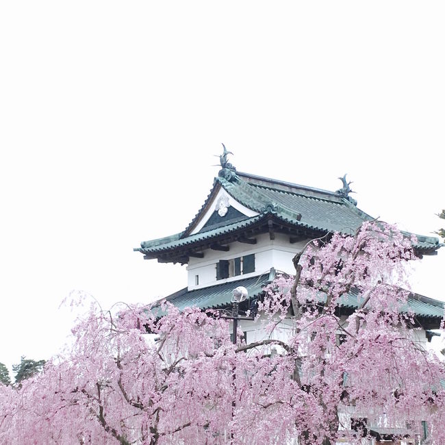 北海道新幹線が開通してちょうど1ヶ月目、新幹線で函館→青森(→弘前)へ<br />桜も見頃でしたが、弘前市の歴史建物は見ごたえ抜群で、そぞろ街歩き<br /><br />【鉄旅】北海道新幹線に乗ろう~<br /> http://4travel.jp/travelogue/11180205<br />弘前さくらまつり(1)<br /> http://4travel.jp/travelogue/11126153<br />歴史建物探訪@弘前さくらまつり(2)<br /> http://4travel.jp/travelogue/11126153<br />アップルパイラリー@弘前さくらまつり(3)<br /> <br />はこだて五稜郭公園<br /> <br /><br />ルート:<br />25日深夜札幌発(夜行バスニュースター号)<br />26日5時新函館北斗駅着<br />6:35新函館北斗発(新幹線はやぶさ10号)7:41新青森着<br />8:16 新青森発(リゾートしらかみ2号)8:45弘前着<br /> @弘前さくらまつり <br />17:45弘前発(奥羽本線快速)18:22青森着 <br /> @青森A-FACTORY<br />21:22青森発(奥羽本線)21:27新青森着<br />22:32新青森発(新幹線はやぶさ33号)23:33新函館北斗着 →00:01五稜郭着<br /> @五稜郭泊 <br />27日 五稜郭で花見<br />14:56函館発( スーパー北斗15号)18:41札幌着