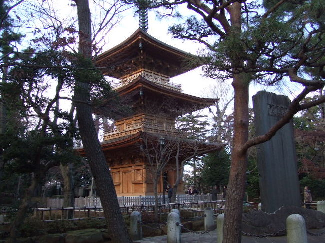 元旦:実家のお正月・豪徳寺初詣、大晦日:八王子散策 2008/01/01