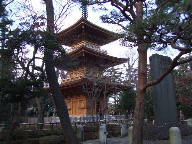 元旦：実家のお正月・豪徳寺初詣、大晦日：八王子散策 2008/01/01