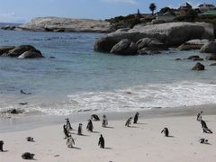 2016年２月　南アフリカ旅行記②　ケープ半島とペンギン