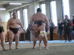 両国相撲　モンゴル春祭り