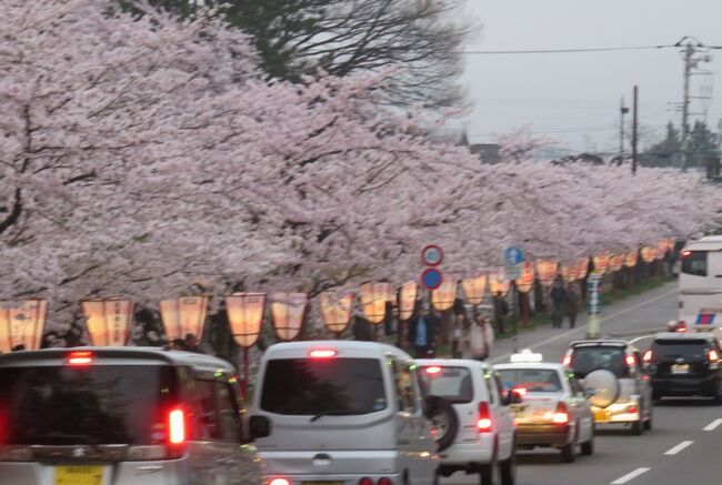 弘前公園の満開の染井吉野と枝垂桜の紹介です。夕方の明るい時間帯から始まり、ボンボリが灯り始めて時間まで、心ゆくまで弘前公園の桜と城址を見学できました。