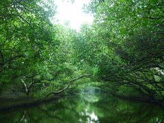 美食の街の台南へ＜のんびり楽しむ！グルメと癒しの旅＞